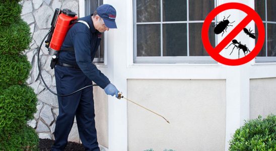 Yayladere Fare İlaçlama böcek ilaçlama ve haşere kontrolü — ilaclama-tr.com